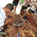 Punta Cana: Safari Outdoor Adventure with Hotel Pickup