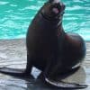 Puerto Plata Ocean World Tickets