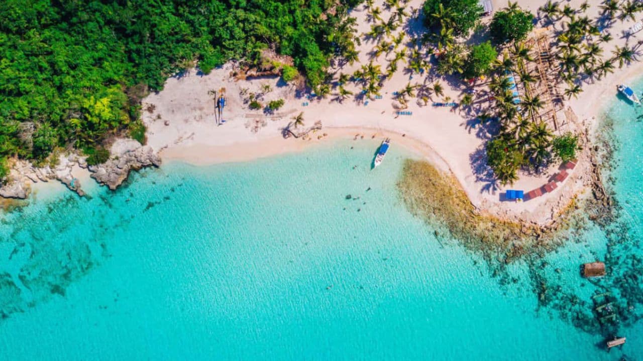 Saona Island Tour with Lunch from Punta Cana