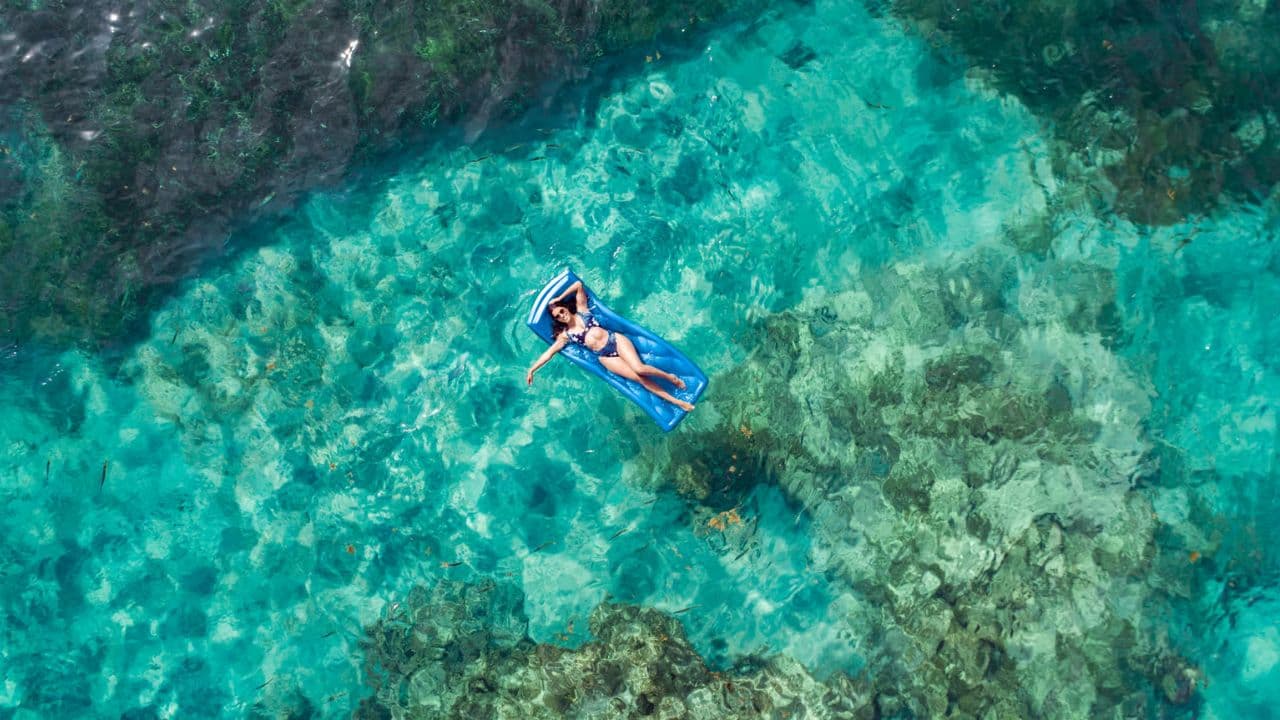 Punta Cana: Speedboat and Snorkeling Adventure with …