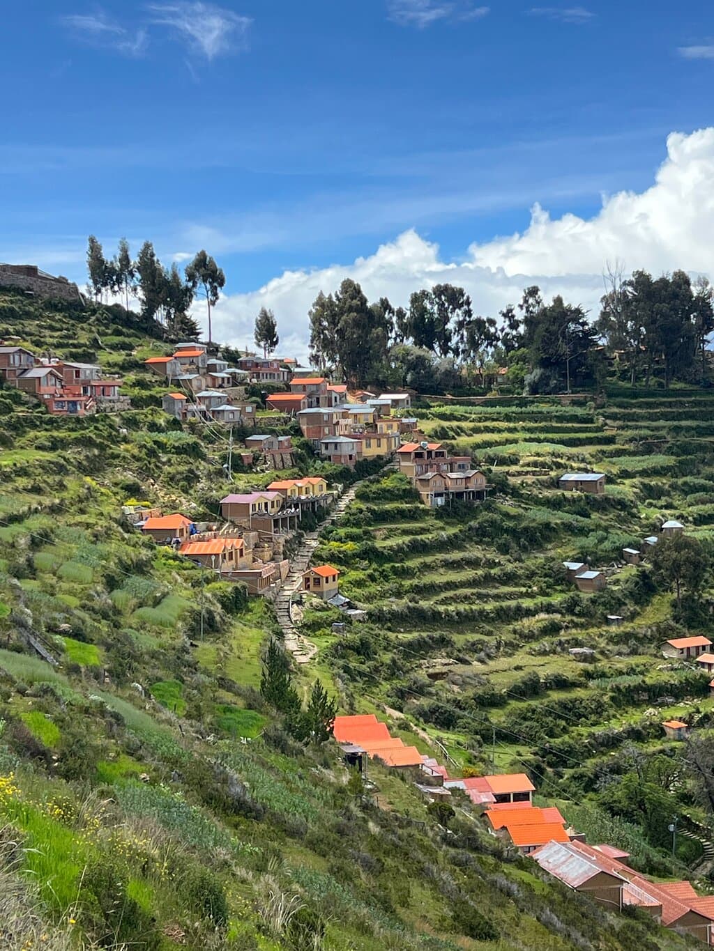 Full Day Guided Tour in Copacabana and Isla del Sol