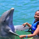 Punta Cana Dolphin Swim Adventure: 40-min Dolphin Experience