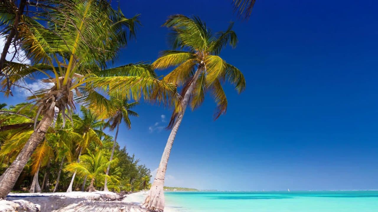Saona Island Snorkeling, Catamaran and Lunch on the Beach