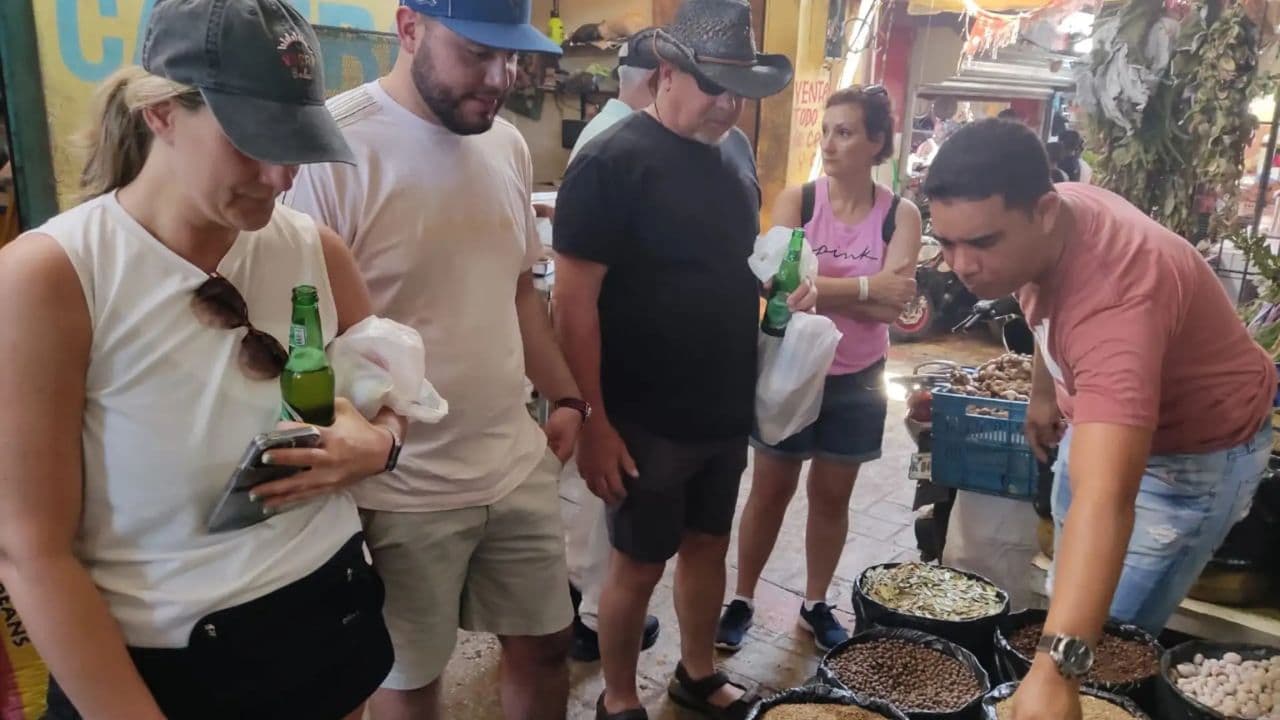 From Punta Cana: Half-Day Dominican Republic Cultural Tour - Dominican Republic