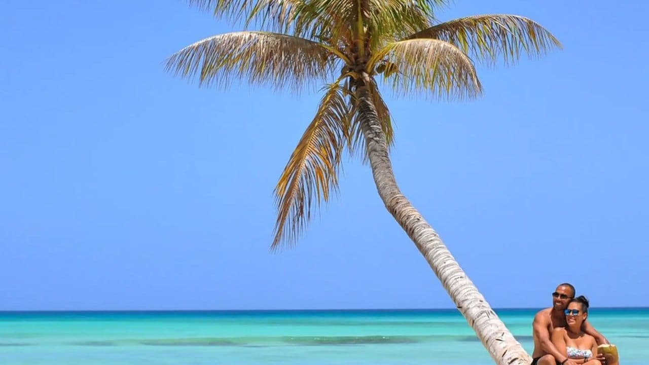 From Santo Domingo: Isla Saona Full-Day Tour with Lunch