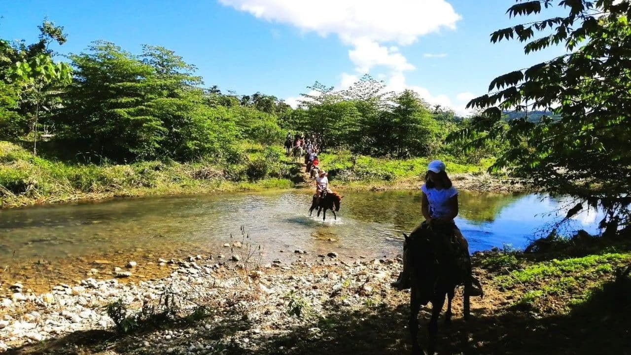From Puerto Plata: Horseback ride along the mountain river