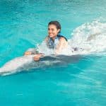 Punta Cana: Dolphin Discovery Swims and Encounters