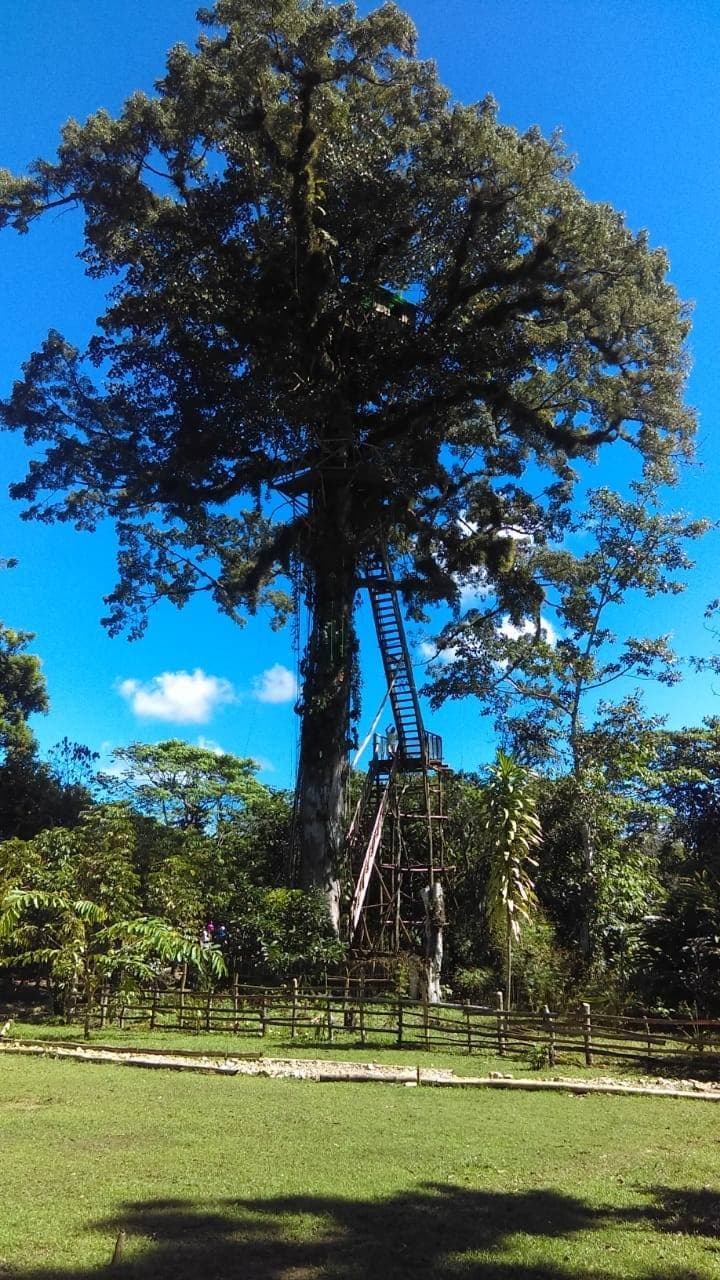 Los Haitises National Park & Yanigua Waterfall Tour Departure from Miches – Secrets Playa Esmeralda