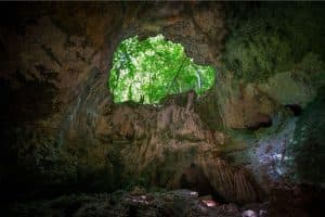 Los Haitises National Park Tour from Las Terrenas, Samaná. Half Day Trip. Lunch at Caño Hondo