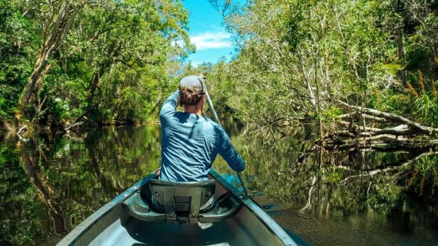 Tortuguero: Canoe Tour and Turtle Nesting Tour Package