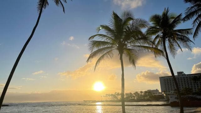 PUERTO RICO: Custom Hiking Tours with Transportation!!