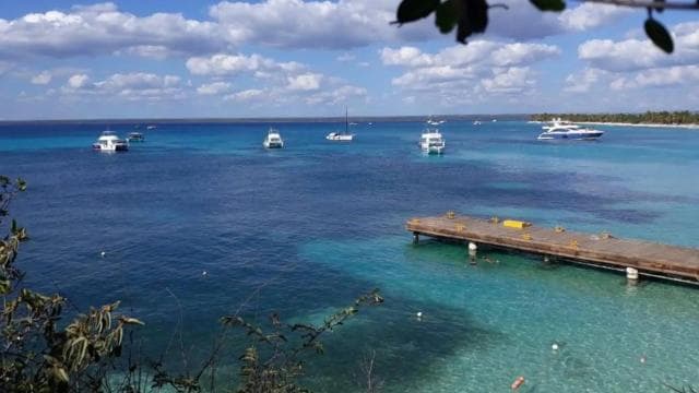 Catalina Island: Day Trip - Best Snorkeling!