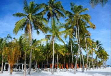 Private: Boca Chica to Saona Island Full-Day Cruise