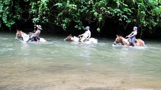 La Fortuna: Guided Horseback Riding Experience and Tour