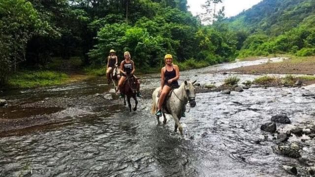 Jaco: Rainforest Horseback Ride to El Encanto Waterfall