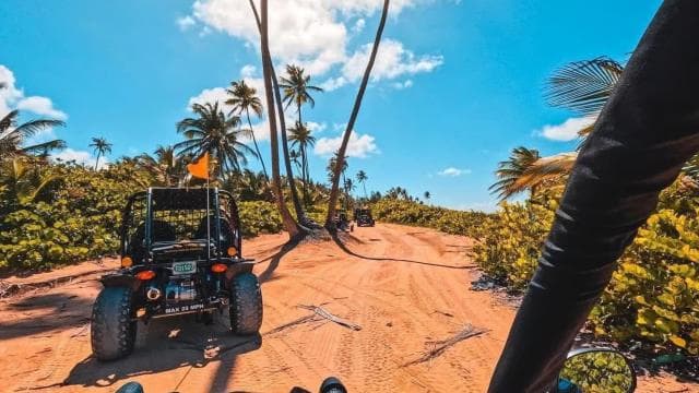 San Juan: El Yunque Waterfalls & Scenic Beach Buggy