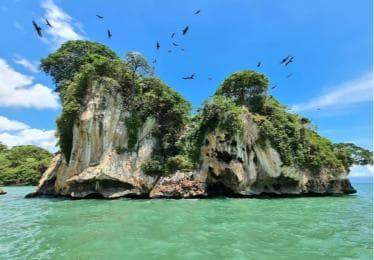 Adventure from Samaná: Los Haitises, Caño Hondo, and Yanigua