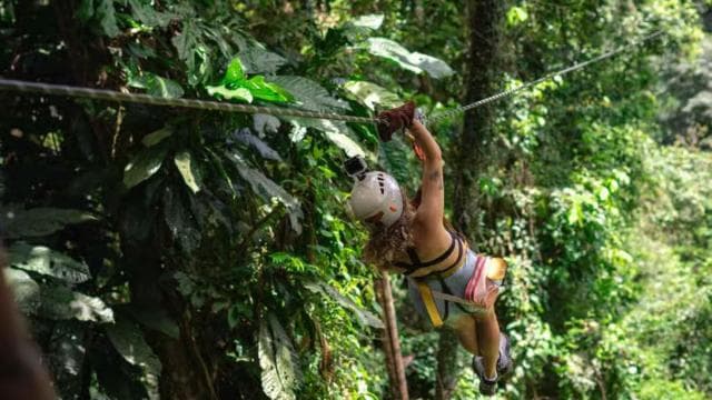 Puerto Viejo Limón: Best Canopy Tour / Ziplines