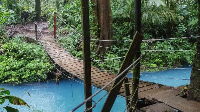 Rio Celeste, explore the rainforest and great waterfall