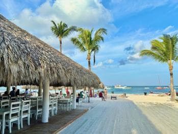 Private: Full-Day Catalina Reef & Beach Escape by Catamaran