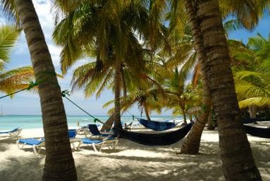 From Punta Cana: Saona Island Tour by Catamaran with Open Bar and Buffet
