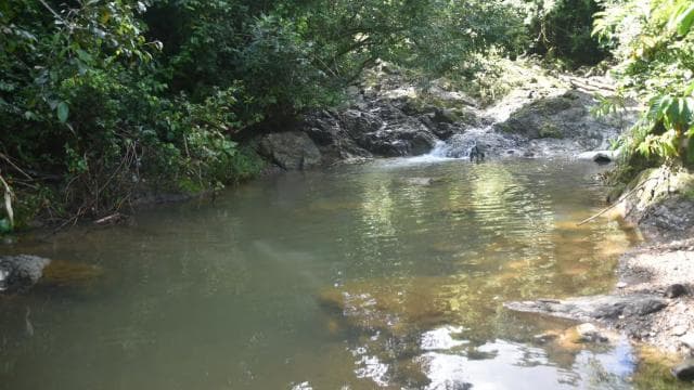 San Juan, PR: Hike to a Hidden Waterfall Adventure