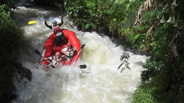 Costa Rica: White-Water Rafting Class III-IV Adventure