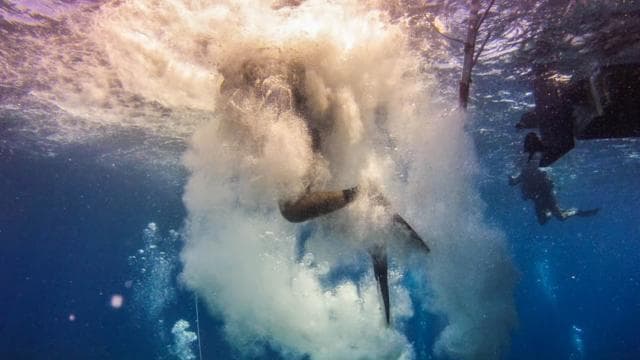 Catalina Island Scuba Diving Tour from Punta Cana