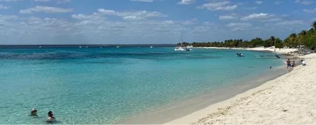 Punta Cana: Catalina Island Snorkeling and lunch Day Trip