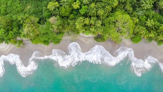 From San José: Full day Manuel Antonio National Park