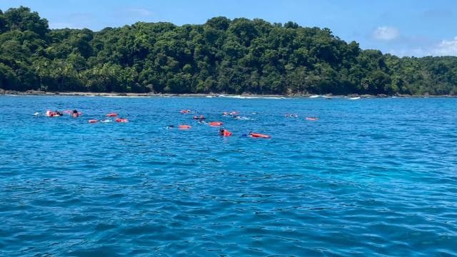 Cano Island Snorkeling Tour from Uvita
