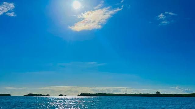Gilligan Paradise: Snorkeling Adventure & Seafood Delight
