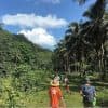 Private Boat Trip & 2 Hours Hiking Rain Forest Los Haitises