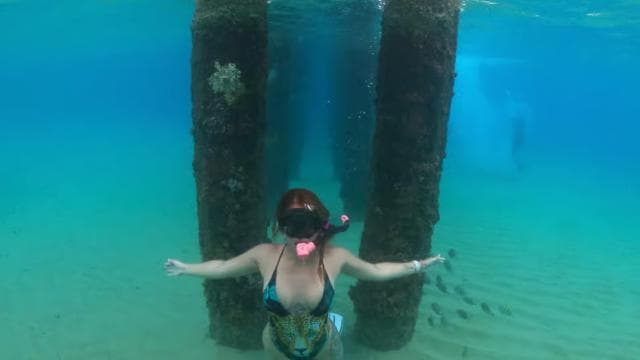 VIP Snorkeling with Turtles Adventure