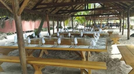Bayahibe: Saona Island Catamaran Tour with Lunch & Drinks