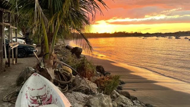 Costa Rica: Dolphin Watching & Snorkelling Private Charter