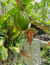 Puerto Plata: Taino Valley and Dominican Flavor Experience