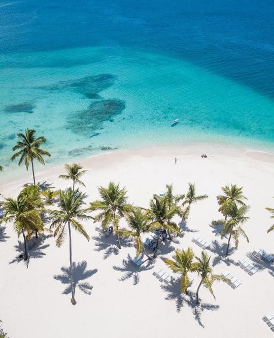 Los Haitises National Park & Cayo Levantado Tour from Samaná Port – Adults $60 | Kids $45
