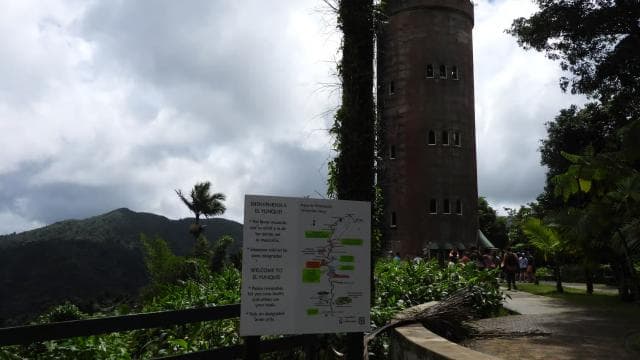 From San Juan: Rainforest Walk, Nature Swim & Luquillo Beach