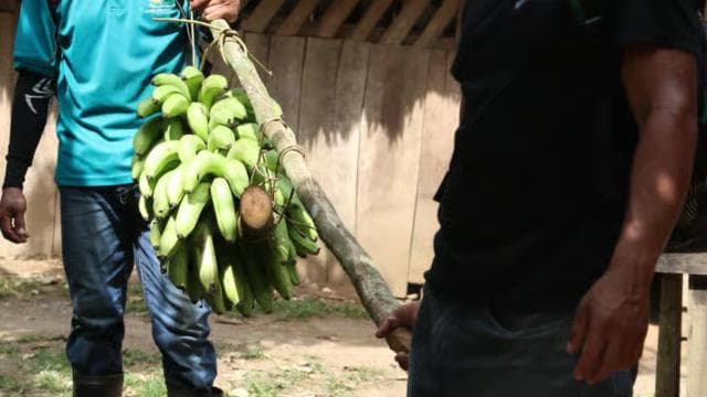 Cahuita National Park+Bribri Chocolate Tour+Waterfalls Tour+Lunch - Dominican Republic