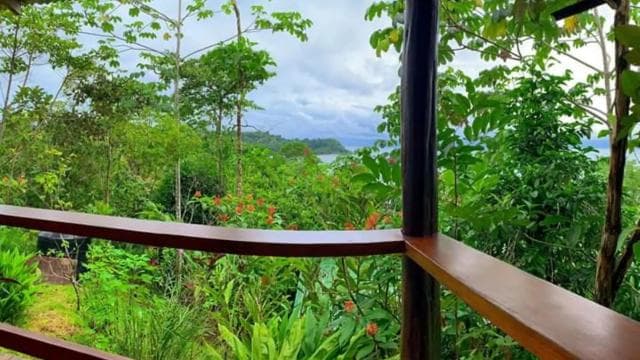 Drake Bay: Jungle Hiking and Canyoning Adventure with Lunch