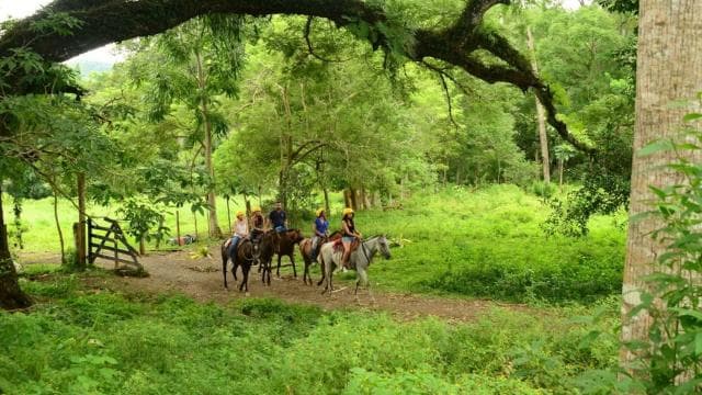 Jaco Beach: Horseback Riding with Natural Pool Stop