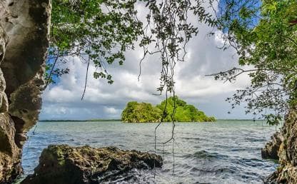Adventure from Samaná: Los Haitises, Caño Hondo, and Yanigua