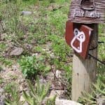 Bayahibe: National Park Jungle Walk & Snorkeling in Cenotes