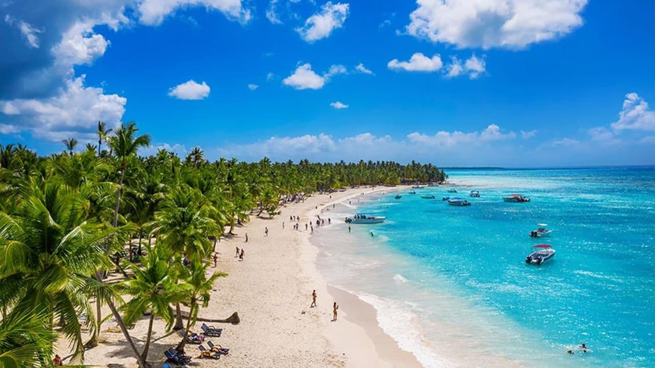 Saona Island: Full-Day Boat Tour with Drinks & Buffet Lunch