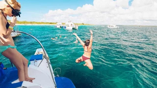 Catalina Island: Day Trip - Best Snorkeling!