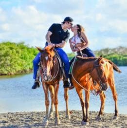 Punta Cana: Guided Horseback Tour of Beaches and Fields