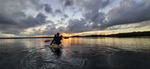Caño Hondo : Los Haitises Sunrise or Sunset Private Kayak Excursion with Locals