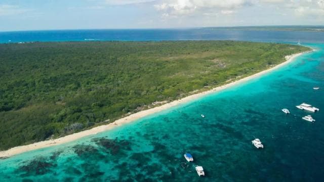 Punta Cana: Catalina Island Snorkeling Tour with Lunch