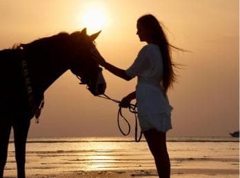 Makadi Bay: Horse Riding in Desert & Sea w Guide + Transfers